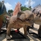 Sunproof Realistic Animatronic Dinosaur 4m Dimetrodon Statue Untuk Theme Park