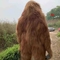 Kostum Gorila Dewasa Setelan Gorila Realistis Untuk Taman Hiburan