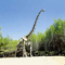 Replika Kerangka Dinosaurus Realistis / Replika Dunia Jurassic Untuk Dalam Ruangan