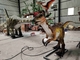 Taman Hiburan Dewasa Robot Dinosaurus Realistis Animatronic Velociraptor