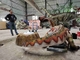 Peralatan Dinosaurus Listrik Taman Air Simulasi Ukuran Hidup Dekorasi Dinosaurus