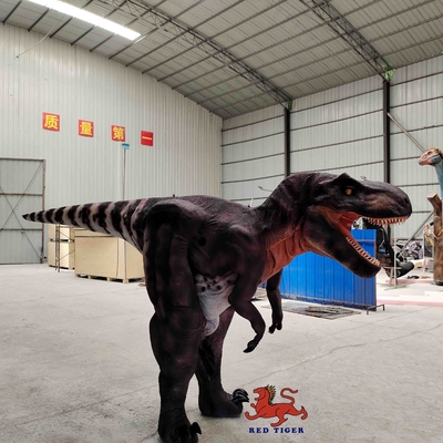 Beli Kostum T Rex Kehidupan Nyata yang Disesuaikan, Setelan Tyrannosaurus Dalam Ruangan online manufacture