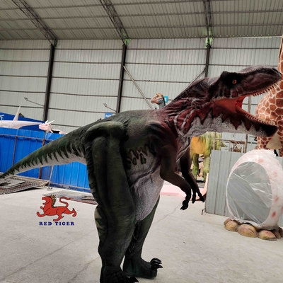 Kostum Dinosaurus Realistis Dalam Ruangan Dewasa Tyrannosaurus Rex Suit