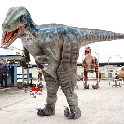 Beli Kostum Dinosaurus Realistis Animatronik / Kostum Raptor Dewasa Untuk Luar Ruang online manufacture