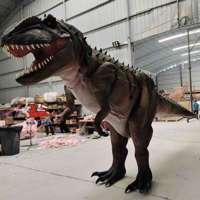 Beli Personalisasi Kostum Dinosaurus Realistis Model Carcharodontosaurus online manufacture