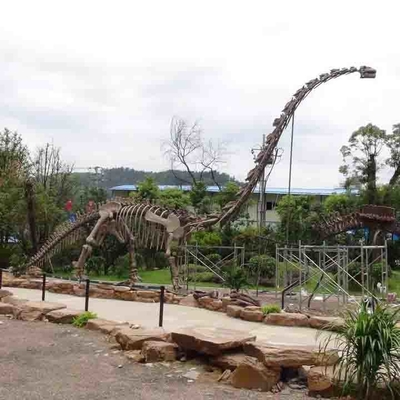 Kerangka Dinosaurus Luar Ruangan Besar, Kerangka Model Dinosaurus Sunproof