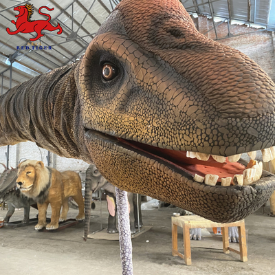 Beli Indoor Realistic Dinosaur Head Wall Mount Ukuran Dekoratif Disesuaikan online manufacture