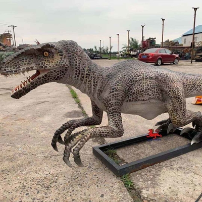 Beli Theme Park Realistis Animatronic Dinosaur Raptor Dengan Gerakan Dan Kustomisasi Suara online manufacture