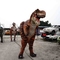 Kostum T Rex Realistis, Kostum Tyrannosaurus Rex Untuk Pameran