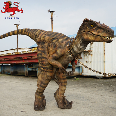 Harga yang bagus Animatronic Velociraptor Costume, Kostum Dinosaurus Dewasa Buatan on line