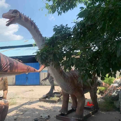 Good price Model Diplodocus Taman Hiburan Dinosaurus Animatronik Manusia Hidup on line