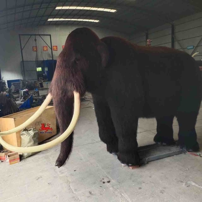 Harga yang bagus Ukuran Kustom Hewan Animatronik Realistis Model Mammoth Usia Dewasa on line