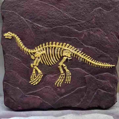 Harga yang bagus Model Replika Kerangka Dinosaurus Luar Ruangan Ukuran Hidup RoHS Disetujui on line