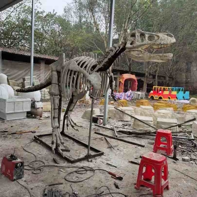 Harga yang bagus Replika Tengkorak Dinosaurus Ukuran Hidup Luar / Dalam Ruangan, Replika Fosil Dinosaurus on line