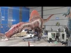 Ukuran hidup Animatronik realistis Dinosaurus Spinosaurus Servo Motors Berbagai gerakan